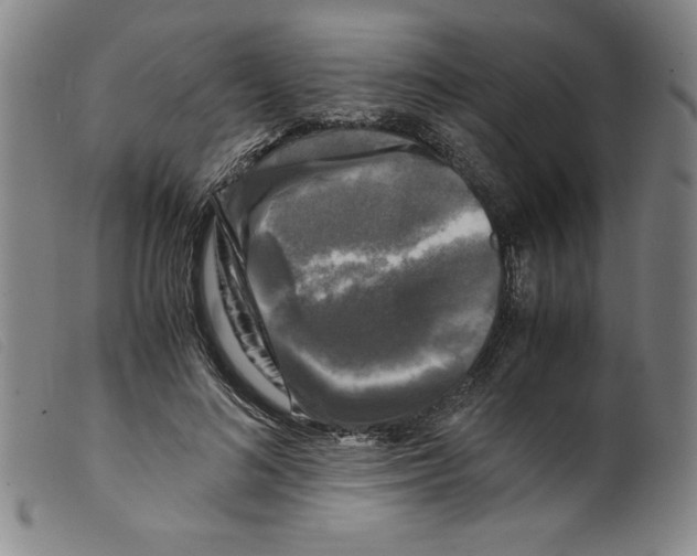 X0000098190692200805221518
