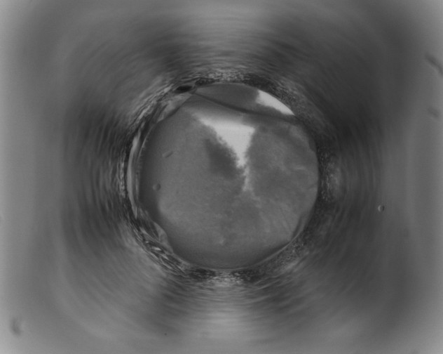 X0000098190696200805221518