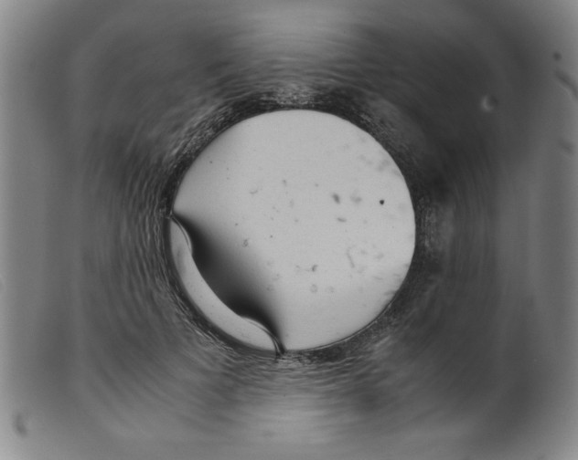 X0000098190697200805221518