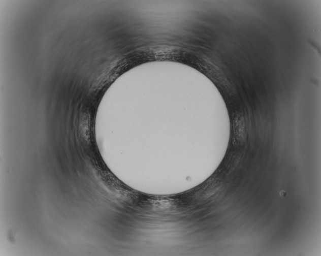 X0000098190698200805221518
