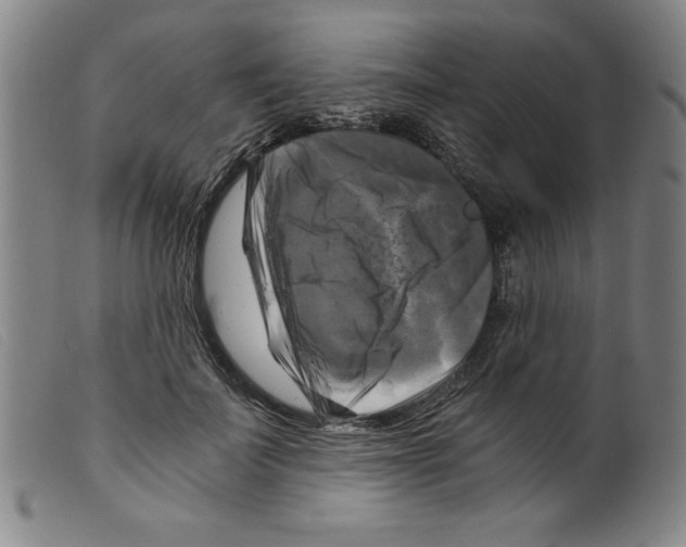 X0000098190699200805221518