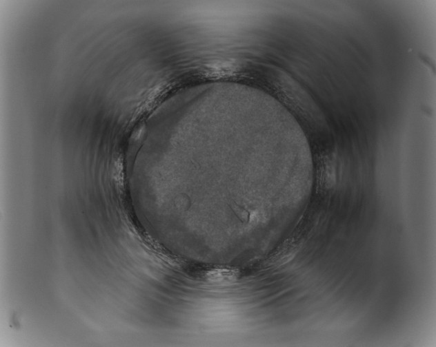 X0000098190700200805221518