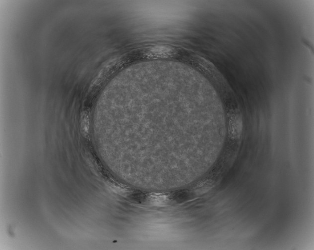 X0000098190701200805221518