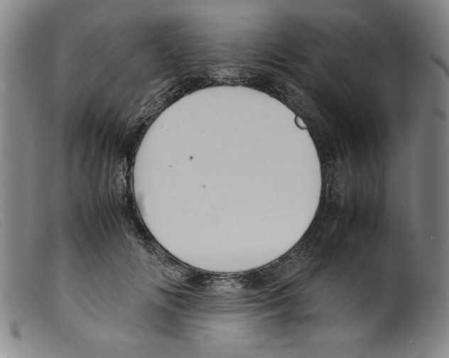 X0000098190702200805221518