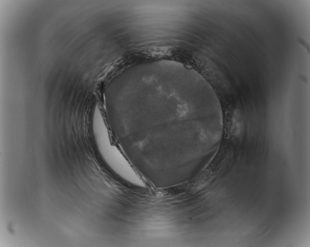 X0000098190704200805221517