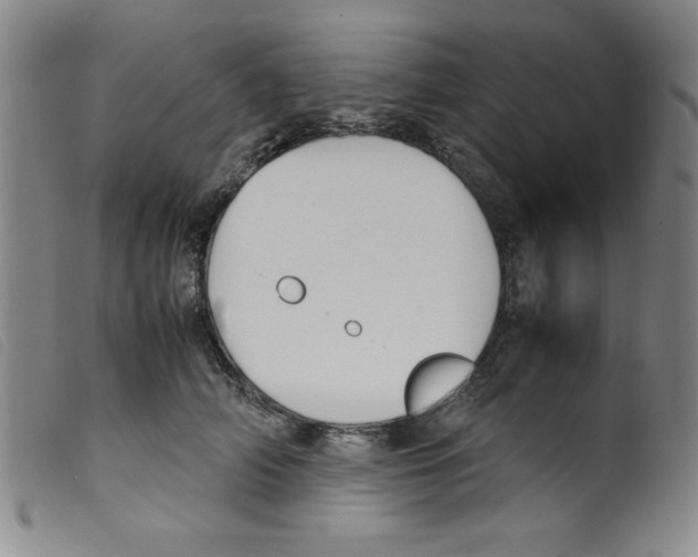 X0000098190706200805221517