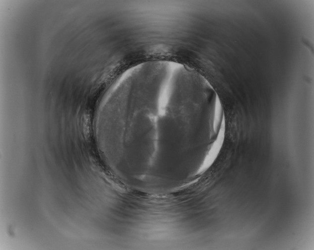 X0000098190708200805221517