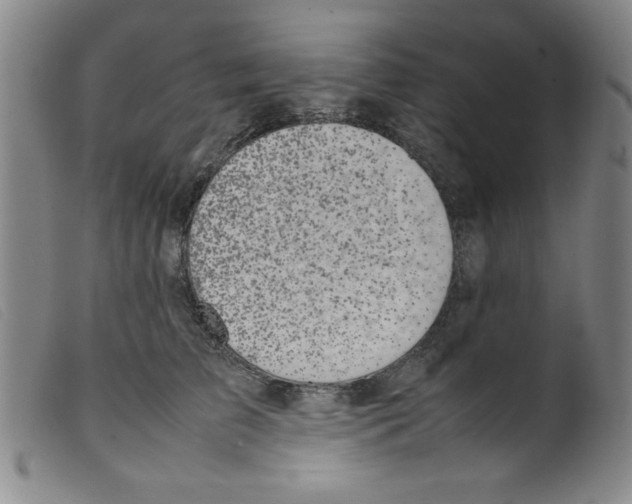 X0000098190709200805221517