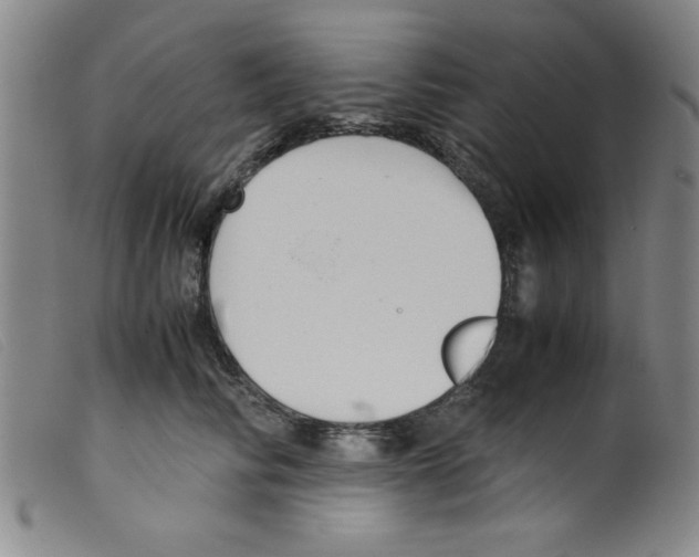 X0000098190710200805221517