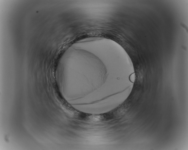 X0000098190711200805221517