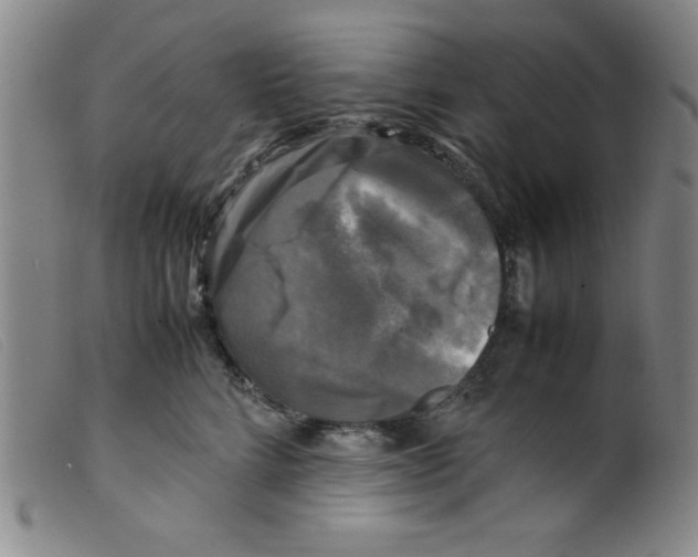 X0000098190712200805221517