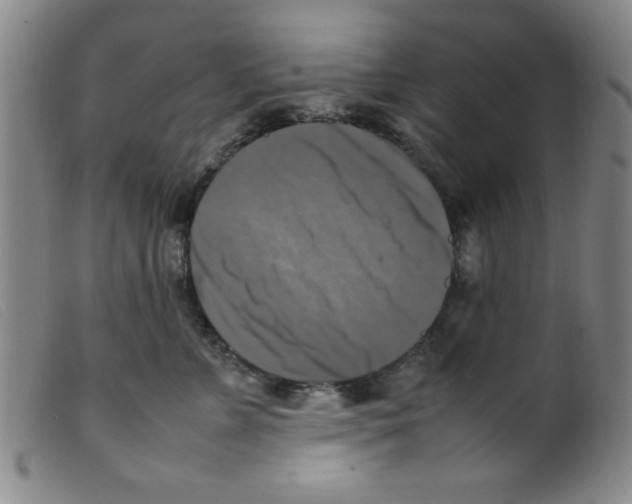 X0000098190715200805221517
