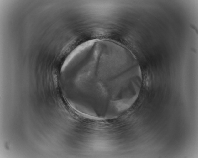 X0000098190716200805221517