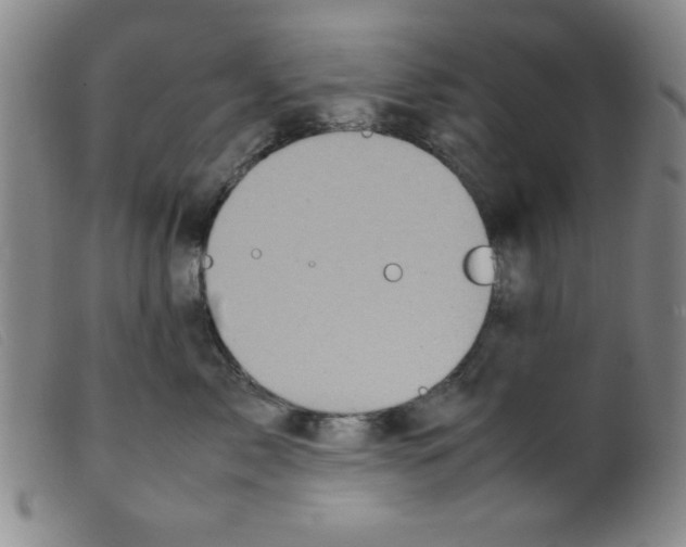 X0000098190717200805221517