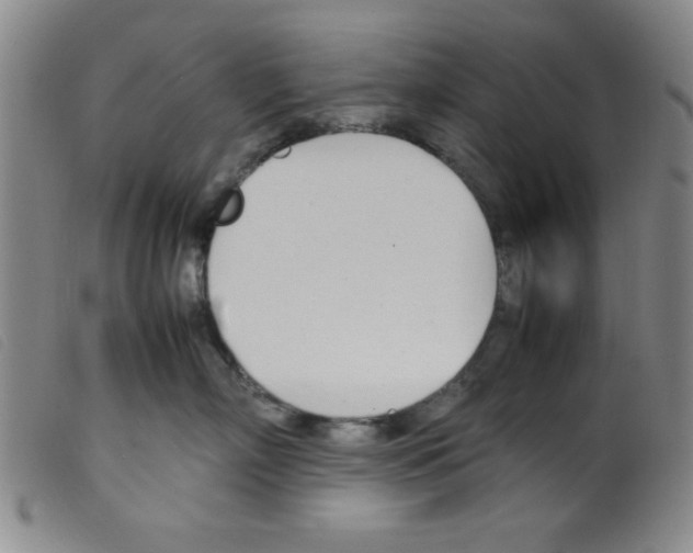 X0000098190718200805221517