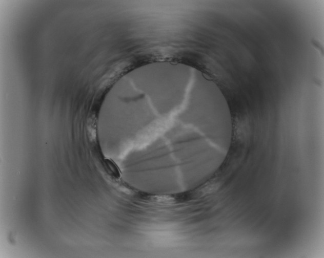 X0000098190719200805221517