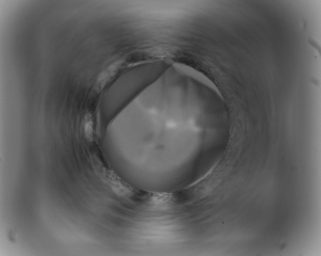 X0000098190720200805221517