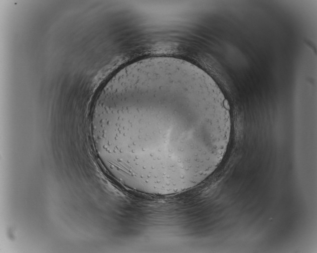 X0000098190721200805221516