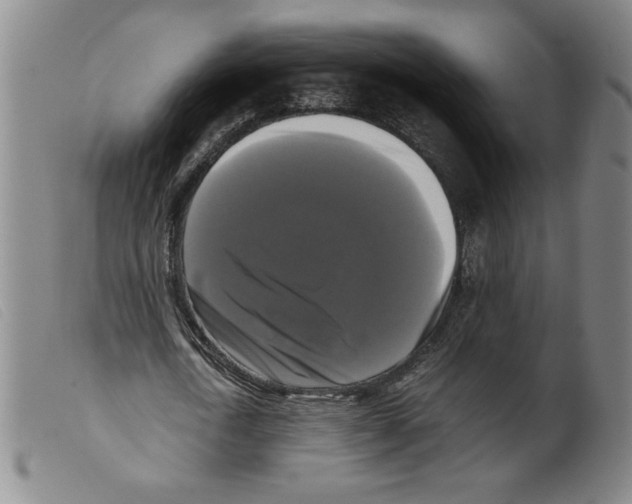X0000098190722200805221516