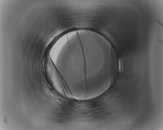 X0000098190723200805221516
