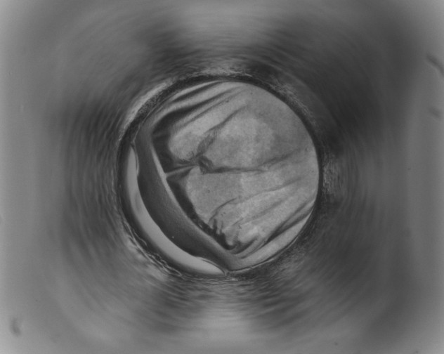 X0000098190724200805221516