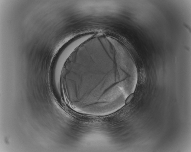 X0000098190726200805221516