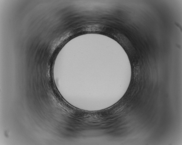 X0000098190727200805221516