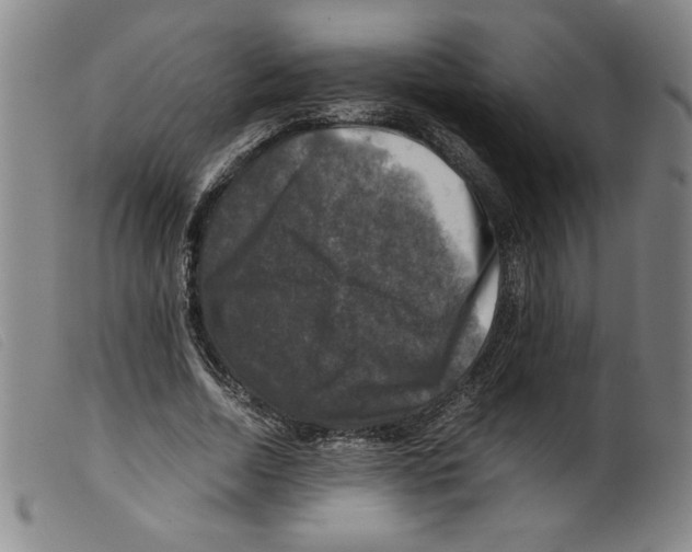 X0000098190730200805221517