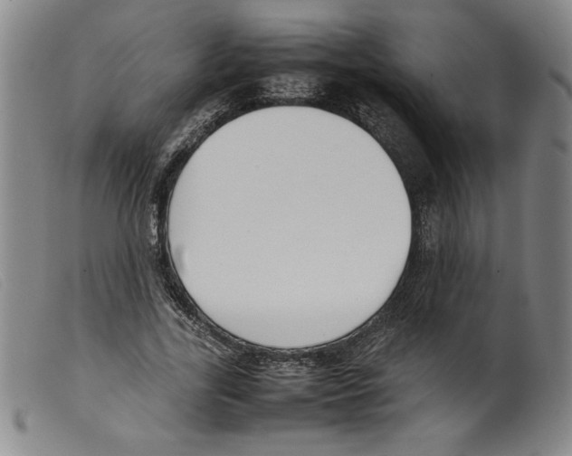 X0000098190731200805221517