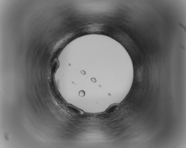 X0000098190732200805221517