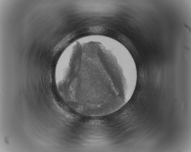 X0000098190734200805221517