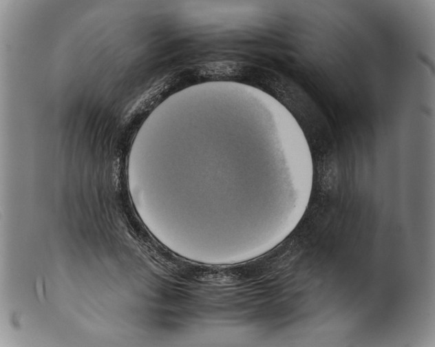 X0000098190735200805221517