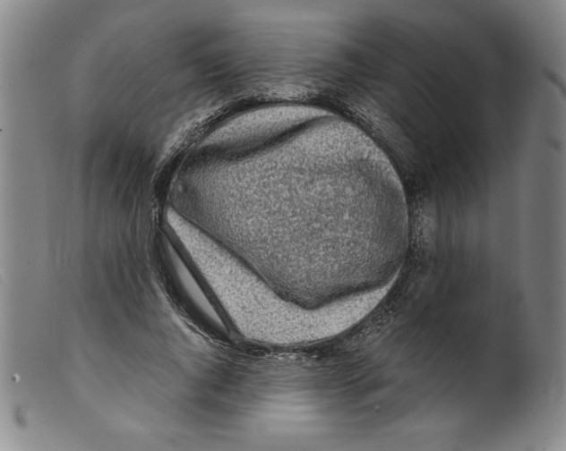 X0000098190736200805221517