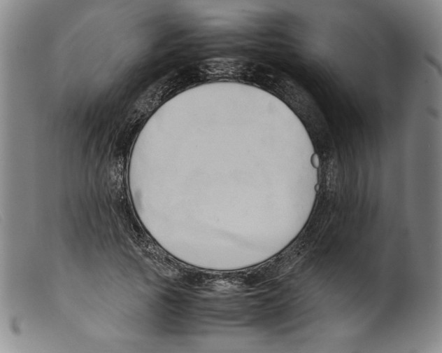 X0000098190737200805221517