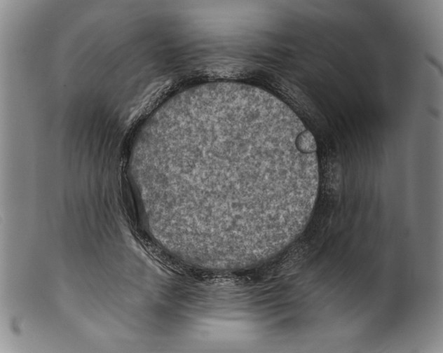 X0000098190738200805221517