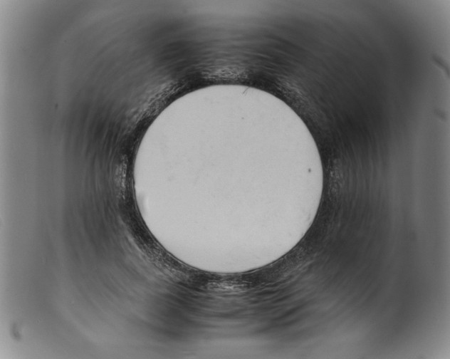 X0000098190739200805221517
