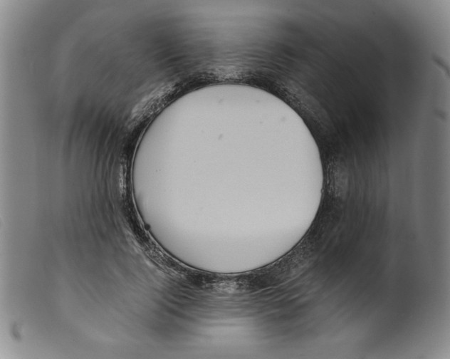 X0000098190740200805221517