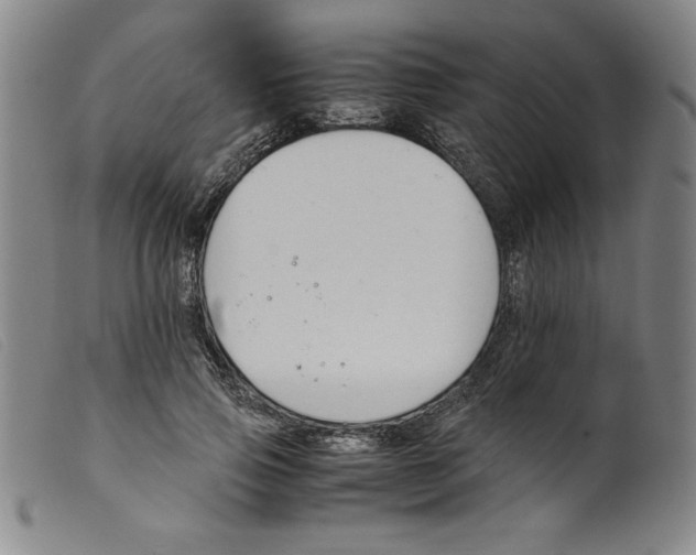 X0000098190741200805221517