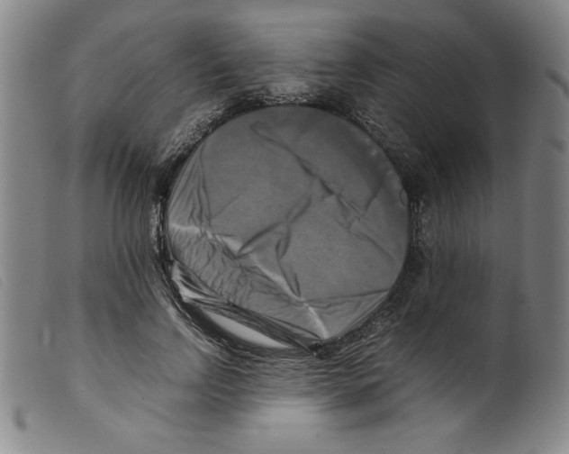 X0000098190742200805221517