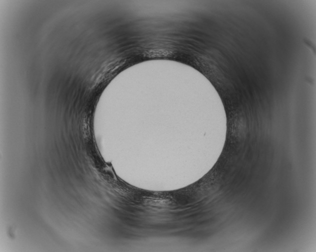 X0000098190743200805221517