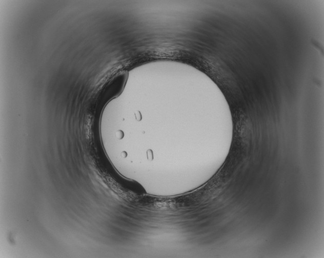 X0000098190744200805221517