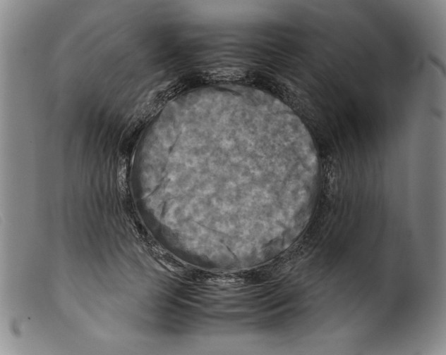 X0000098190745200805221517