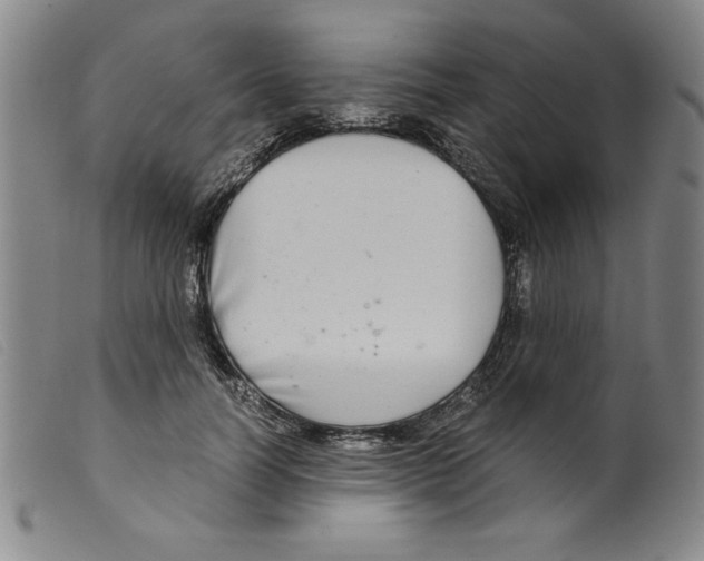 X0000098190746200805221517