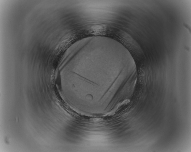 X0000098190748200805221517