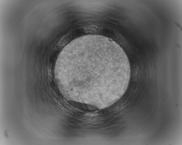 X0000098190749200805221517