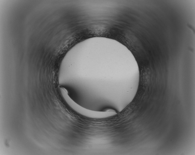 X0000098190750200805221517