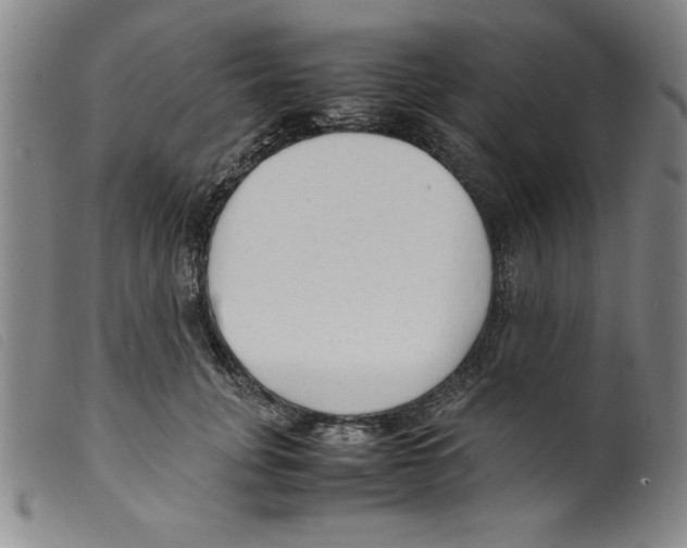 X0000098190751200805221517