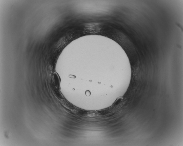 X0000098190752200805221517