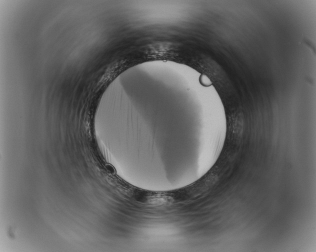 X0000098190754200805221517