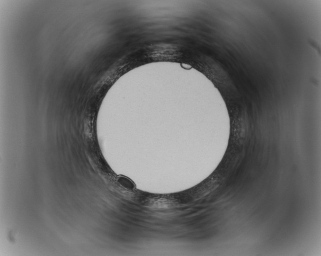 X0000098190755200805221517